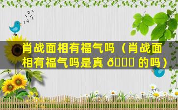 肖战面相有福气吗（肖战面相有福气吗是真 🐕 的吗）